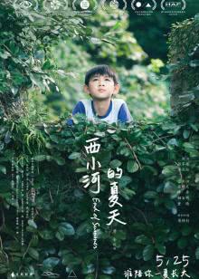 papi酱[2021]